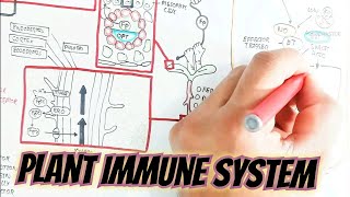 Plant Immune System/Pathogens Interaction/Iron Deficiency Respons In Cell