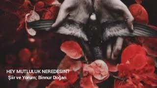 Hey Mutluluk Neredesi̇n? Şiir Ve Yorum Binnur Doğan