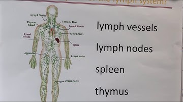 CC Cycle 3 Week 9 Science