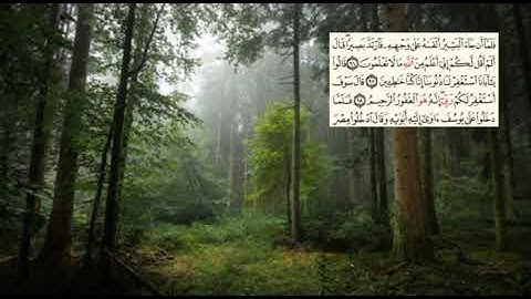 صفحة-247- page سعد الغامدي - -سورة يوسف -Joseph (Yusuf)12