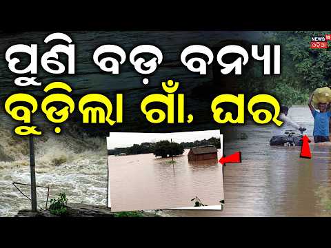 ପୁଣି ବଡ଼ ବନ୍ୟା ! Flood in Mayurbhanj After Heavy Rain | Budhabalanga River Overflows, 700 Evacuated