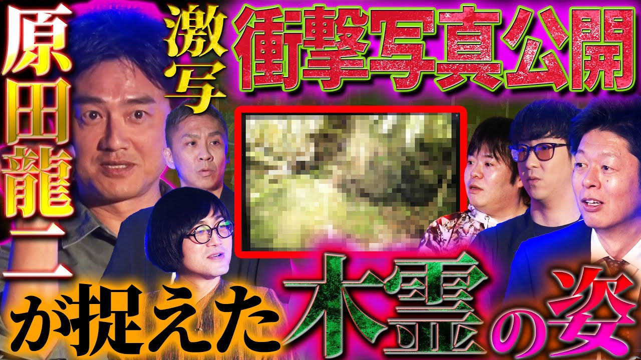 【未公開】ついに激写！衝撃写真を公開…！原田龍二がとある島の縄文杉で捉えた無数の“木霊（こだま）”の姿…！！【原田龍二】【島田秀平】【ナナフシギ】【たっくー】【松原タニシ】