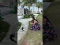 猫🐱