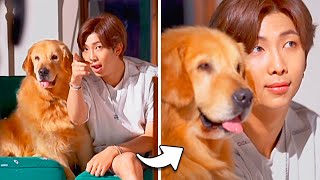 BTS with Animals (Cute moments)