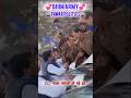 #video Mahraja #movie #dailouge #bhimarmy #viral #viralvideo #shorts #trending #news #reels #love up
