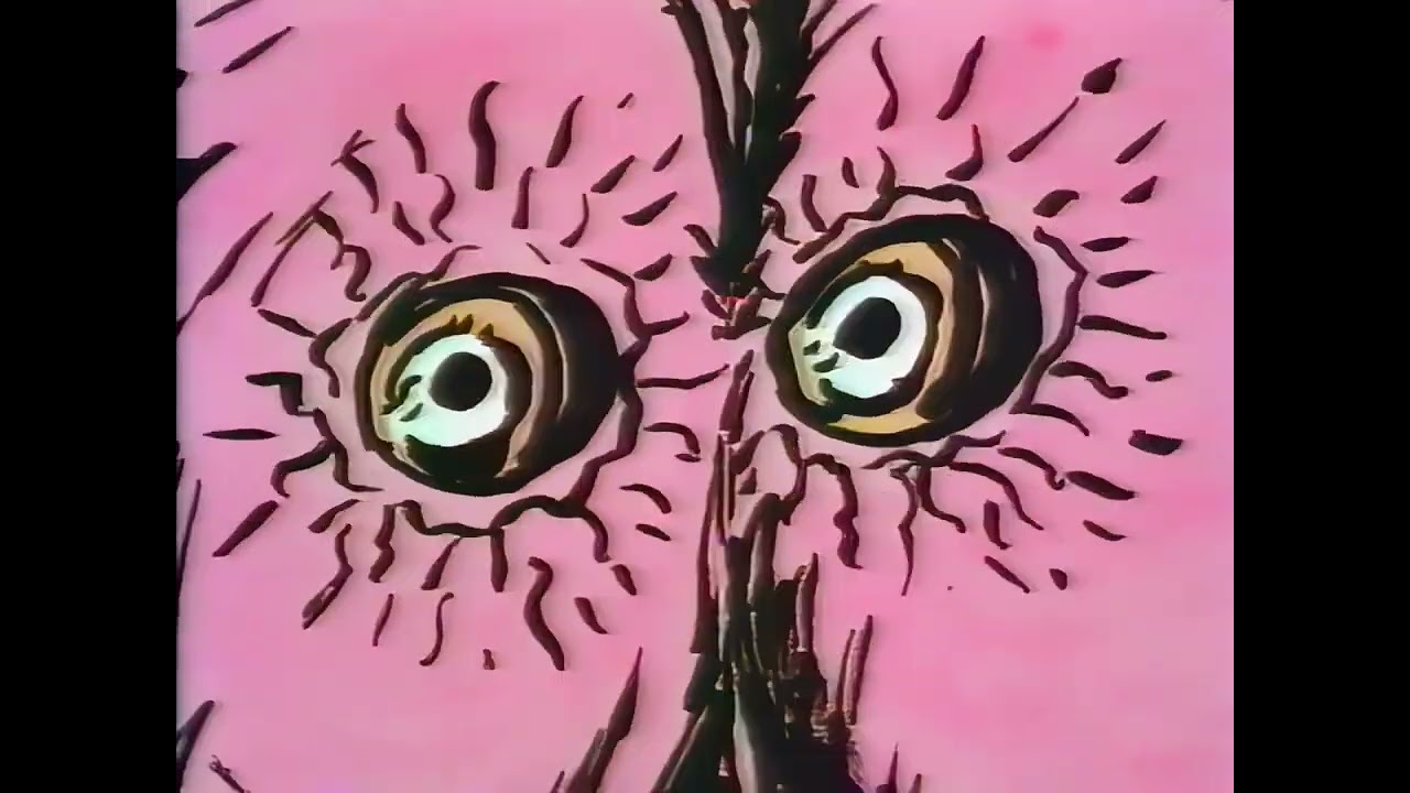 les sales blagues de l'echo s1 Paris Dakar