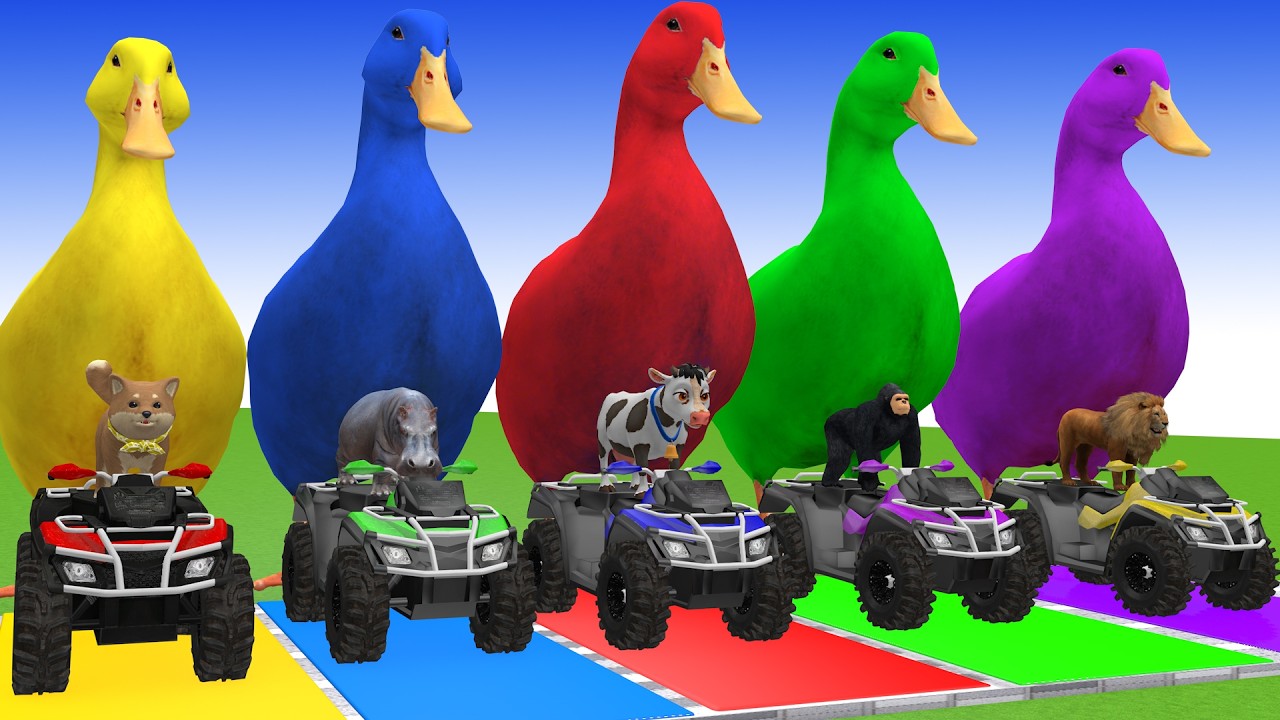 Long Slide Game With Cow Elephant Gorilla Hippopotamus Tiger 3d Animal Game Funny 3d Animals