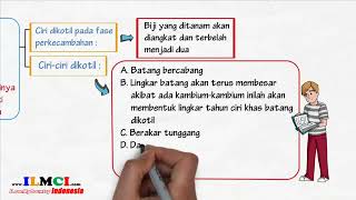 Ciri ciri tumbuhan dikotil dan monokotil