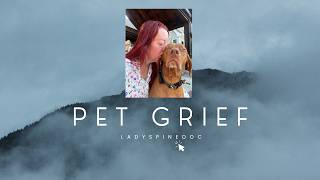 Pet grief - and thanks spread to veterinary medicine colleagues