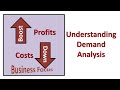 Understanding demand analysis