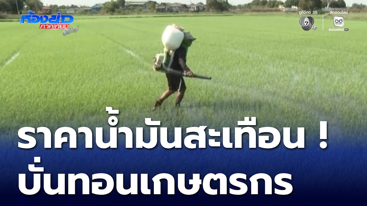 รายงานพิเศษ : ราคาน้ำมันสะเทือนกระดูกสันหลังของชาติ | ห้องข่าวภาคเที่ยง สุดสัปดาห์
