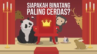 Siapakah Binatang yang Paling Cerdas?