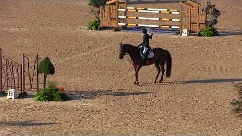 Video of FINNLEY 5 ridden by MONICA HANKS from Sho...