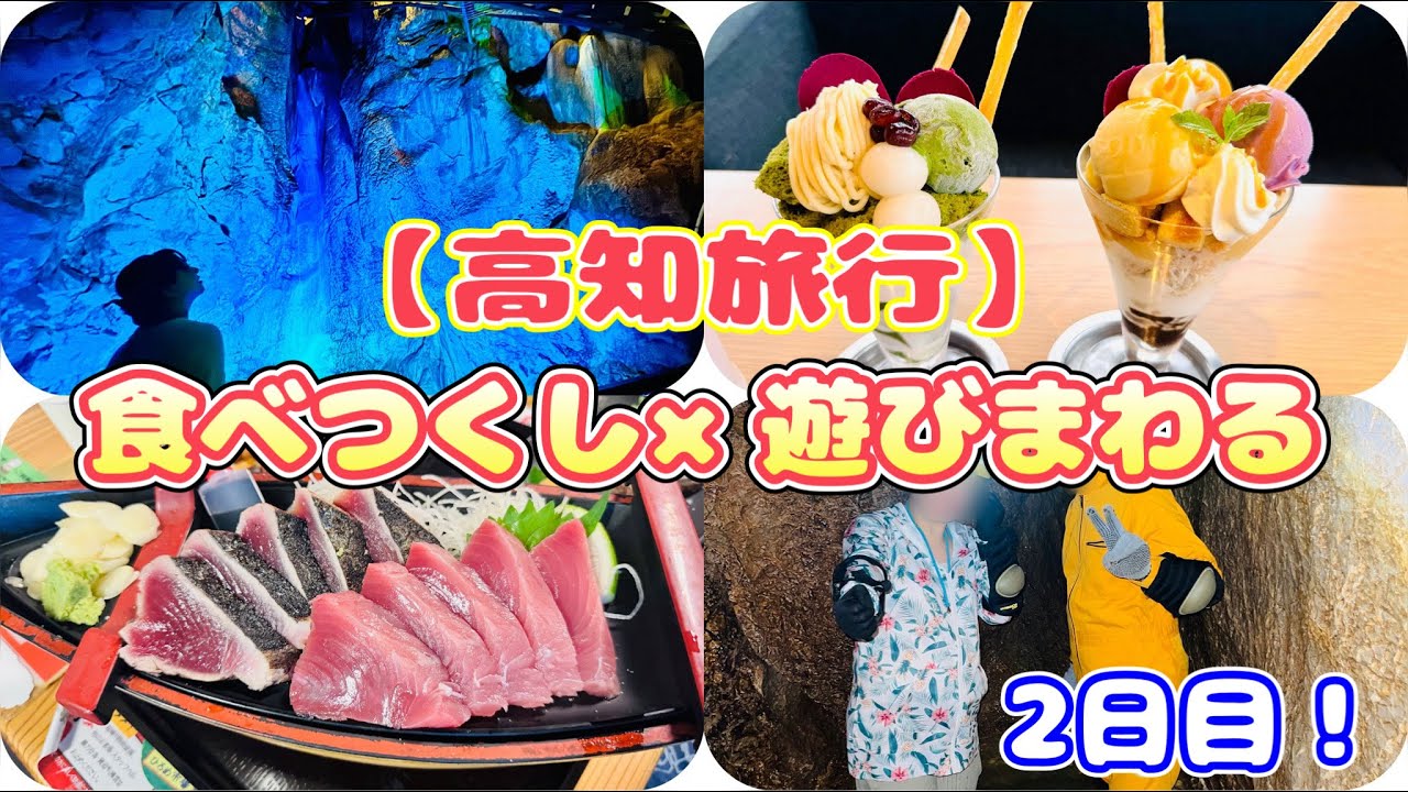 動画を再生