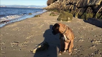 How To Enable 60FPS Recording on iPhone 6 (BAD)