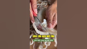 Cách làm sạch mực ống chi tiết cho người mới