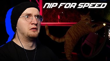 NIP FOR SPEED | You Ever Went On A Night Drive With An Alcoholic CAT?