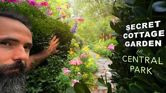 Artist Explains the Cottage Garden in Central Park