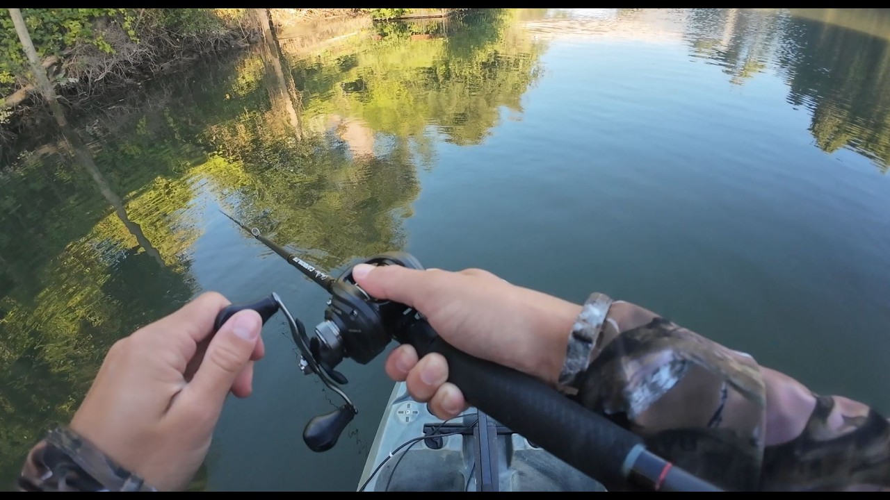 Summer Kayak Bass Fishing on CA Delta Backwaters