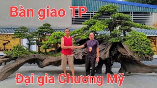 Cả làng đến xem bàn giao đồi tùng về nhà đại gia Chương Mỹ(phần 2)