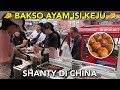 JUAL BAKSO AYAM ISI KEJU DI CHINA, KEJUNYA LUMER SAAT DIMAKAN! ALHAMDULILLAH LUDES JUGA🥹💗 image