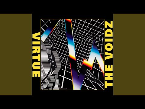 Wink - The Voidz
