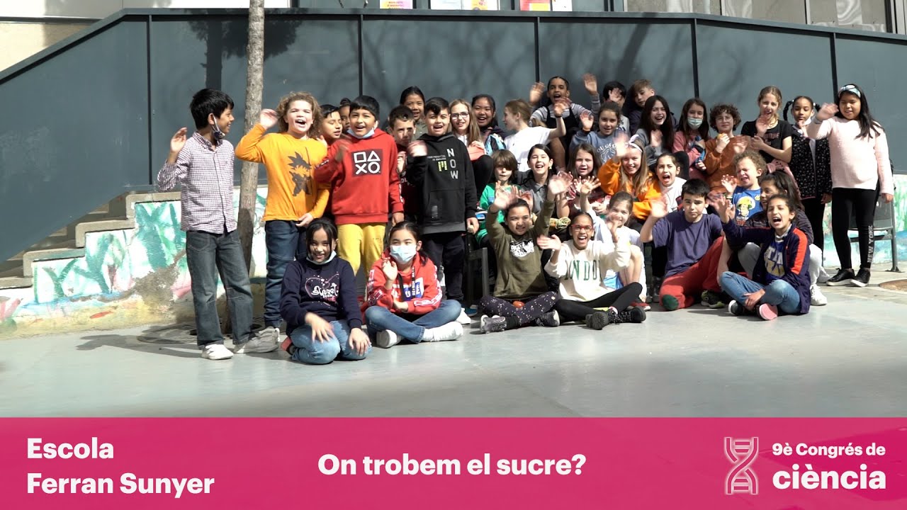 9èCC Escola Ferran Sunyer On trobem el sucre?