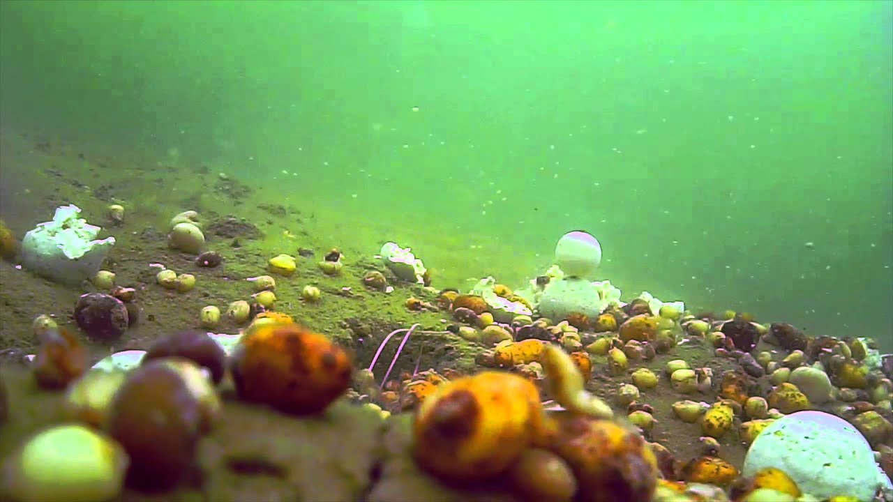 UNDERWATER CAMERA CARPFISHING YouTube