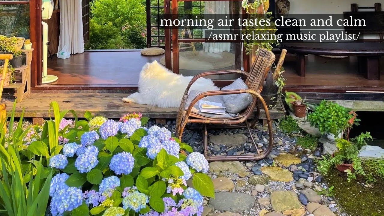 a fresh and relaxing morning