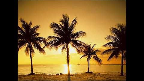 سورة الروم بصوت القارئ محمد باسويد