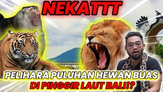 GAMASUK AKAL! NEKAT PELIHARA PULUHAN HEWAN BUAS DI PINGGIR LAUT BALI!? #AudreyA #KINGOFTHEJUNGLE