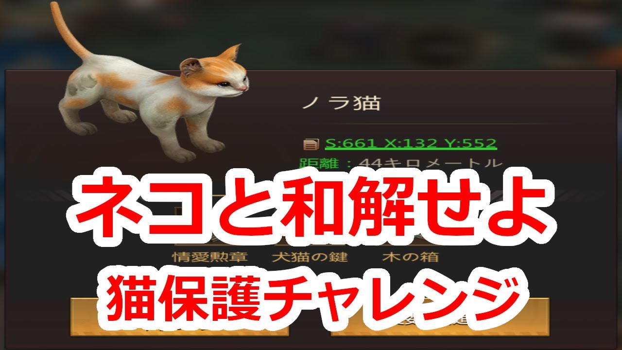 ★ネコハハページ★ ねこのせ 1/1 [M便 NNS-MP02 ナカバヤシ [全4種類] M マルチポーチ 布団・毛布
