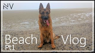 German Shepherd Puppy Beach Vlog Pt1 | NerdVlog