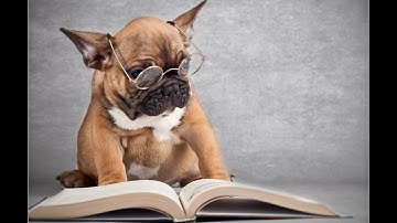 Xác suất có điều kiện (Conditional Probability)