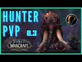 Hunter PVP (8.3+) Leveling in battlegrounds!