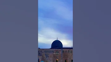 معراج حبي 