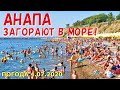 #АНАПА 4.07.2020. ЗАГОРАЮТ В МОРЕ! ЖАРА НА ПЛЯЖЕ ВЫСОКИЙ БЕРЕГ. МАЛАЯ БУХТА. ЧИСТЕЙШАЯ ВОДА! Погода.