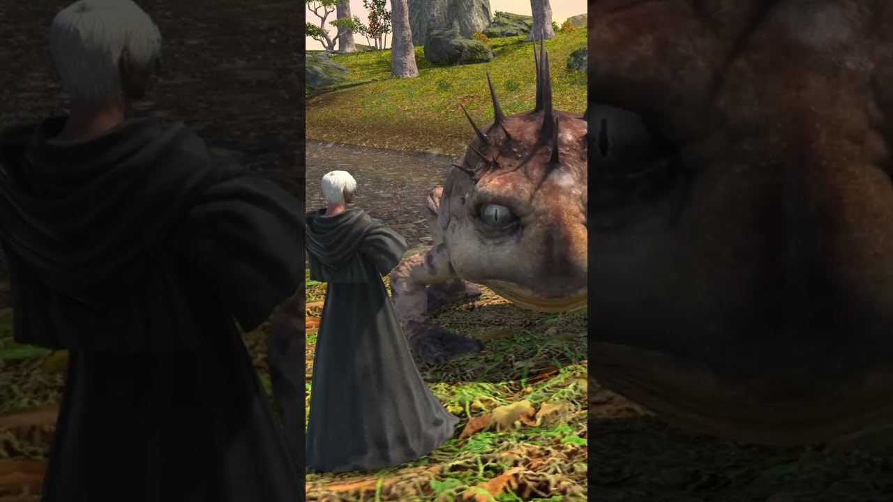 Concepts Are Curious Things Ffxiv