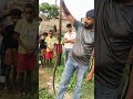 rat snake में किसी भी प्रकार का कोई जहर नहीं  है और मेरे पोछने से पहले सांप को घायल कर दिया