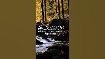 قران كريم 🤍 تلاوة من سورة المائدة 🤍 القارئ عبد الرحمن مسعد 🤍