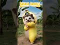 Cat dance #catdance #dogdance #petdance #animaldance #trend #meow #funnydance