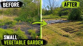 Starting My Small Garden | 8 Hours of Work in 17 Minutes