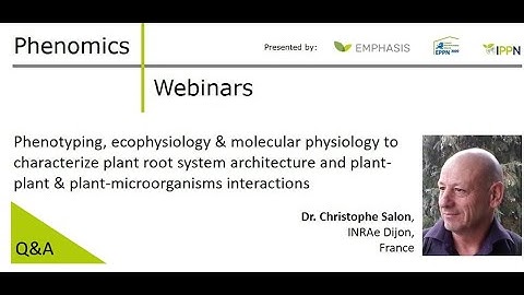 Q&A: Prof. Christophe Salon - Phenotyping (...) root system architecture & plant-plant interactions