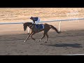 View race 5 video for 2026-09-05