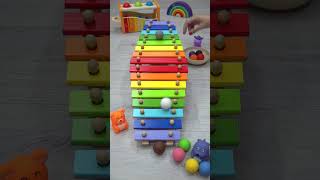 🌈 Xylophone 🌈 Marble run 🌈 Satisfying Video