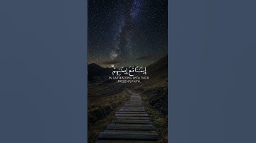 سورة الفتح || آية رقم ٤ || للقارئ عبدالرحمن مسعد