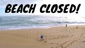 Drone Captures Shark Lurking Close To Family Youtube Drone Captures Shark Lurking Close To Family Youtube