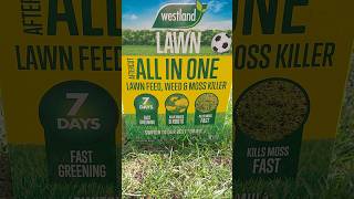 Westland Lawn All in One!#mosskiller #lawnfeed #weed #killsmossfast #fastgreening #uk