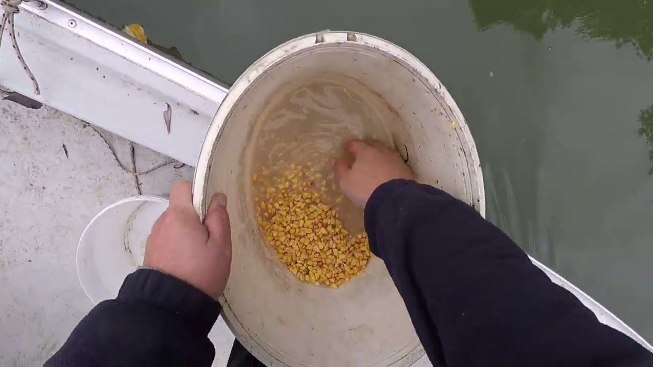 SZÍVTELEN HÚSHORGÁSZ 6