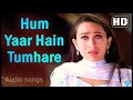 Hum yaar hain tumhare female  haan maine bhi pyaar kiya  abhishek bachchan  karishma kapoor